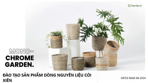 Kiến thức sản phẩm dòng nguyên liệu cói
